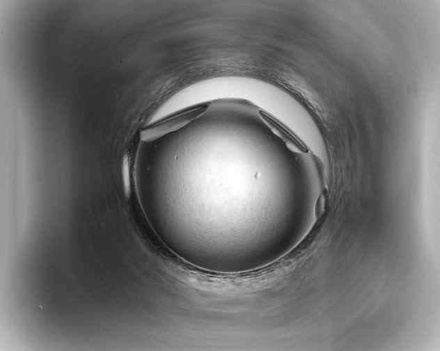 X0000096440022200801241407