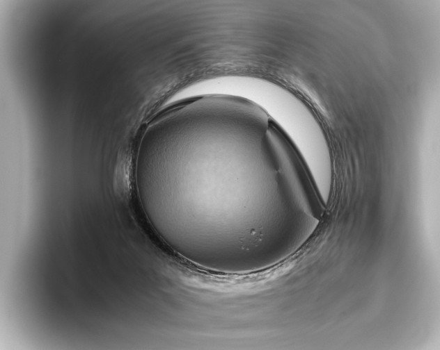 X0000096440023200801241407