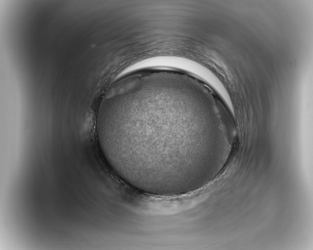 X0000096440029200801241407