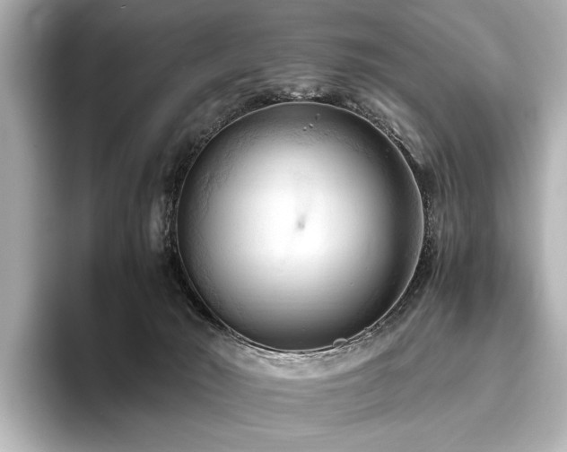 X0000096440030200801241407