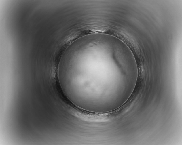 X0000096440032200801241407