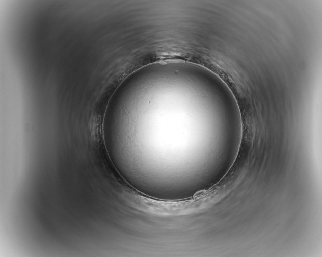 X0000096440034200801241407