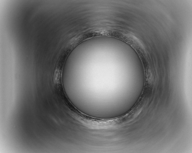 X0000096440036200801241407