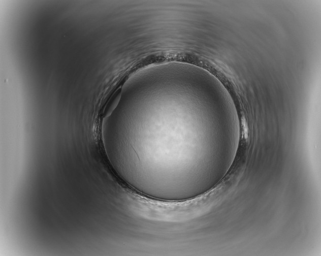 X0000096440039200801241407