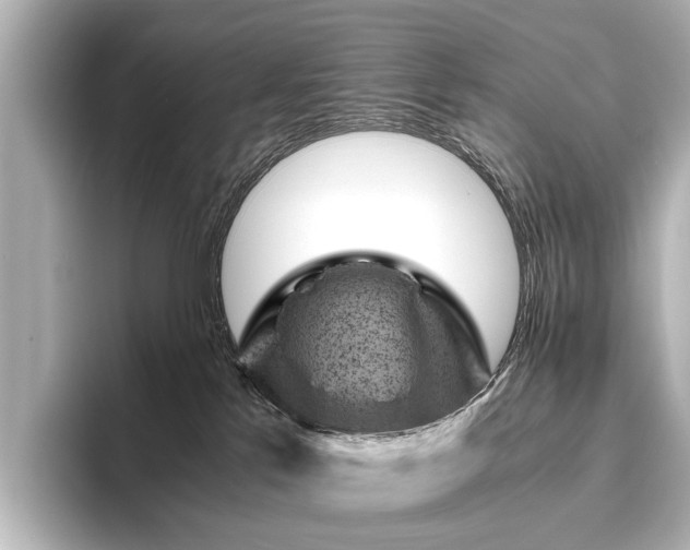 X0000096440041200801241407