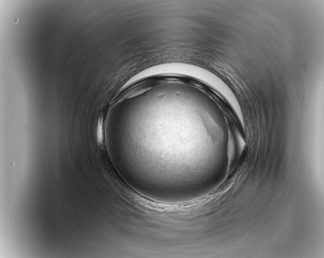 X0000096440046200801241407