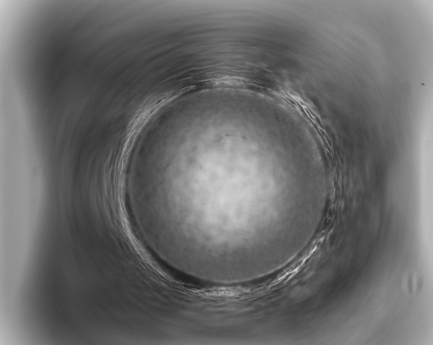 X0000096440049200801241406