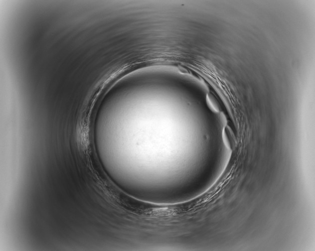 X0000096440050200801241407