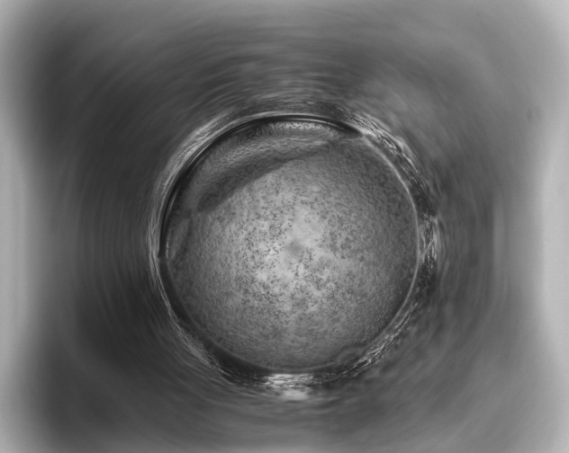 X0000096440051200801241407