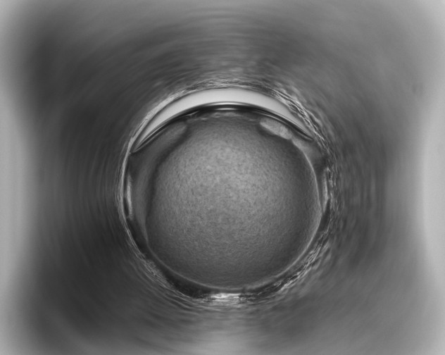 X0000096440052200801241407