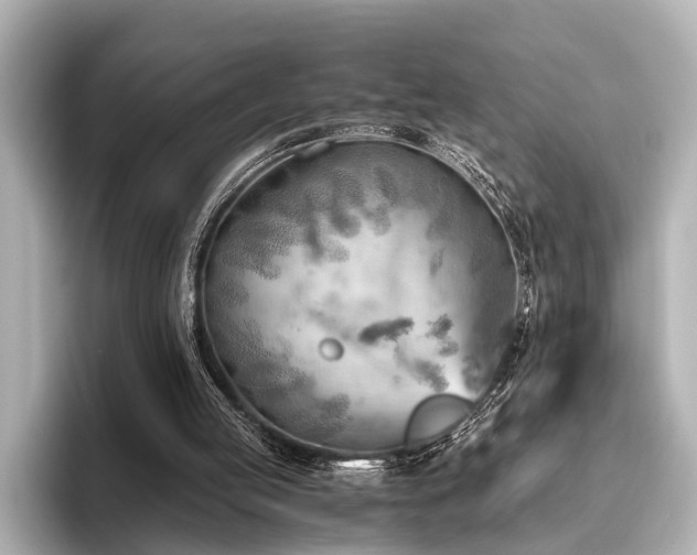 X0000096440053200801241407
