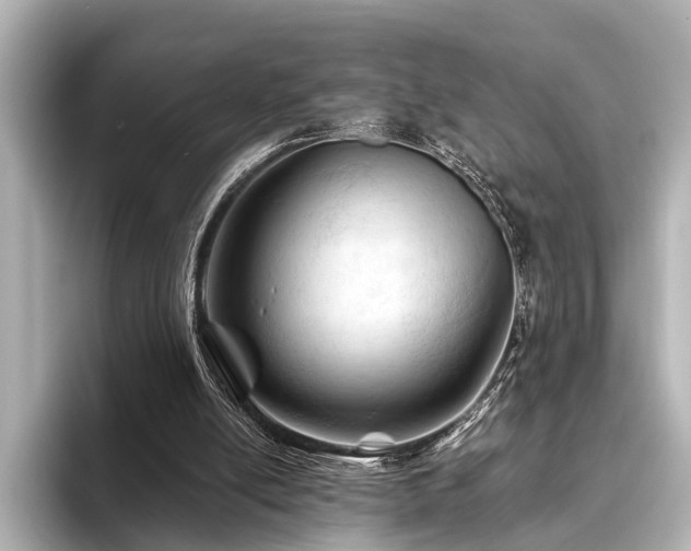 X0000096440054200801241407