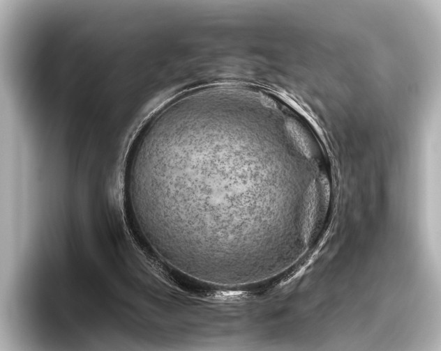 X0000096440055200801241407