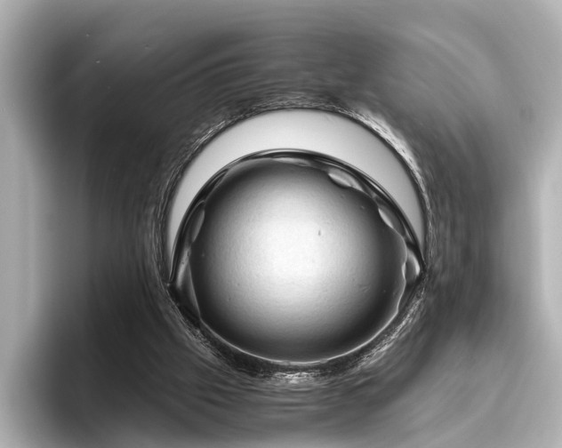X0000096440057200801241407