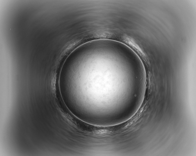 X0000096440058200801241407