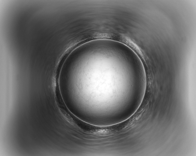 X0000096440059200801241407