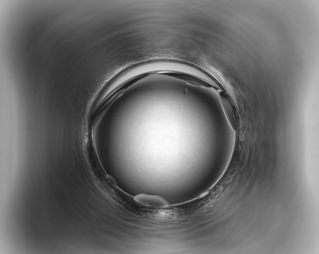 X0000096440060200801241407