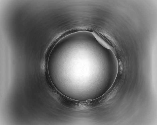 X0000096440064200801241407