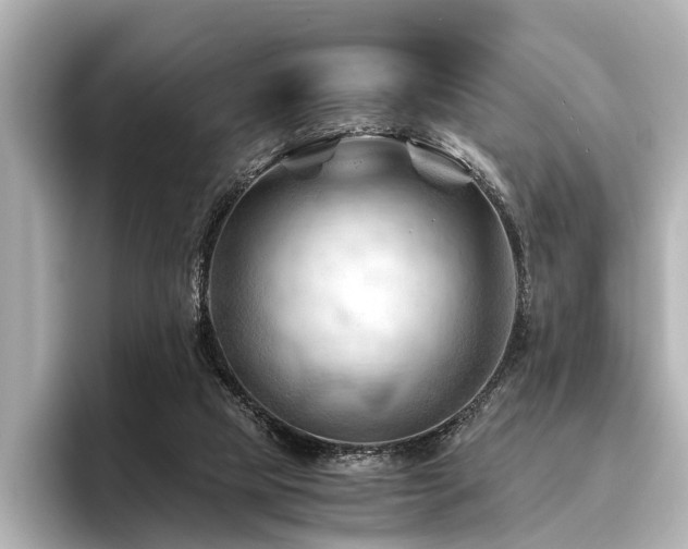 X0000096440065200801241407