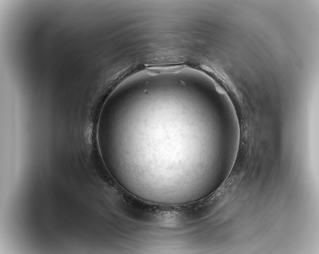 X0000096440066200801241407