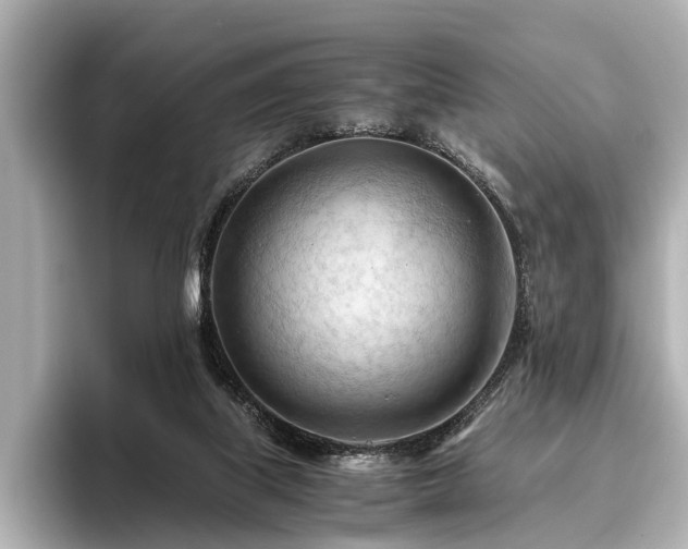 X0000096440067200801241407