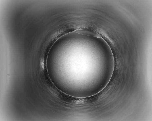 X0000096440068200801241407
