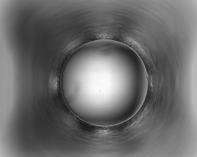 X0000096440071200801241407