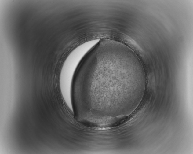 X0000096440073200801241407