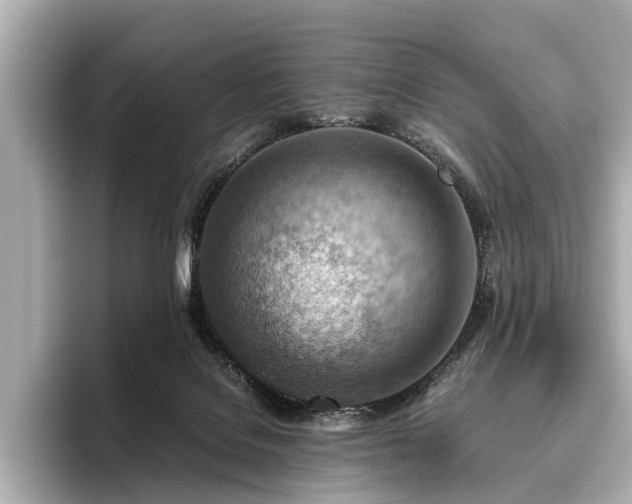 X0000096440076200801241407