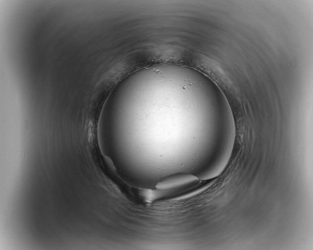 X0000096440077200801241407
