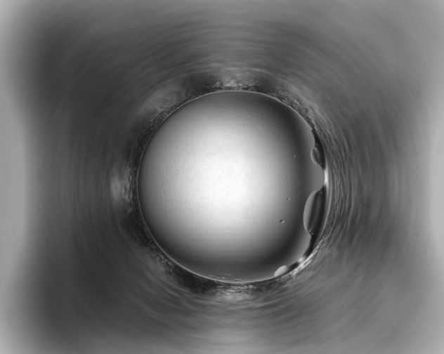 X0000096440078200801241407