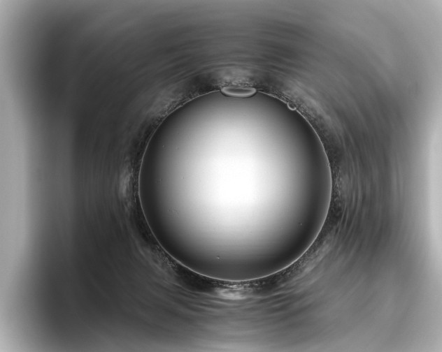 X0000096440079200801241407