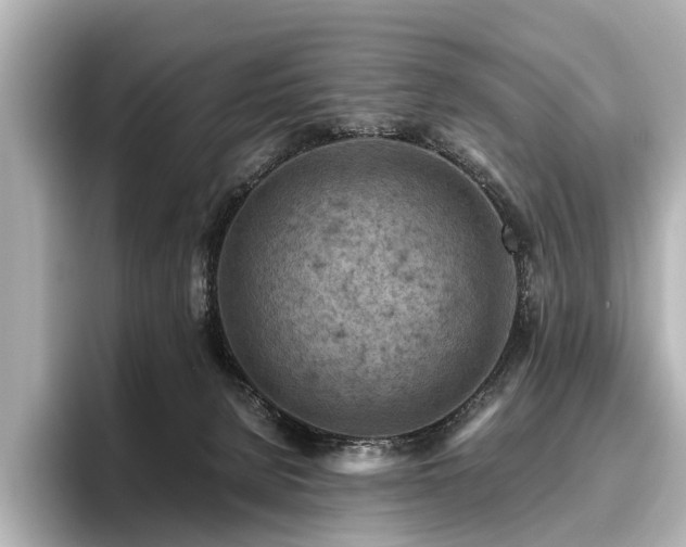 X0000096440080200801241407