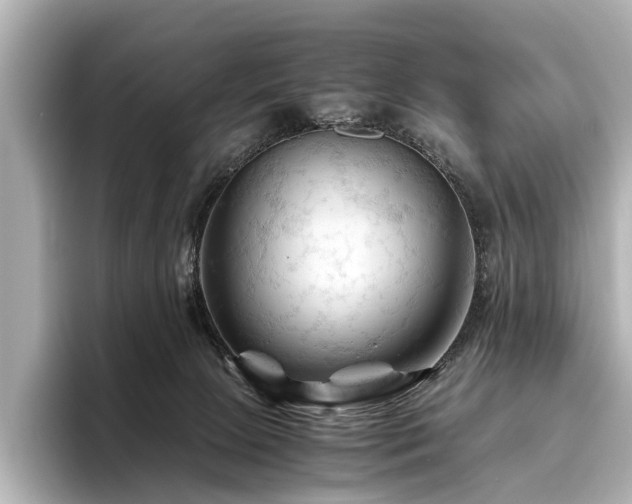 X0000096440081200801241407