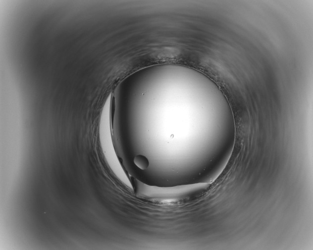 X0000096440083200801241407