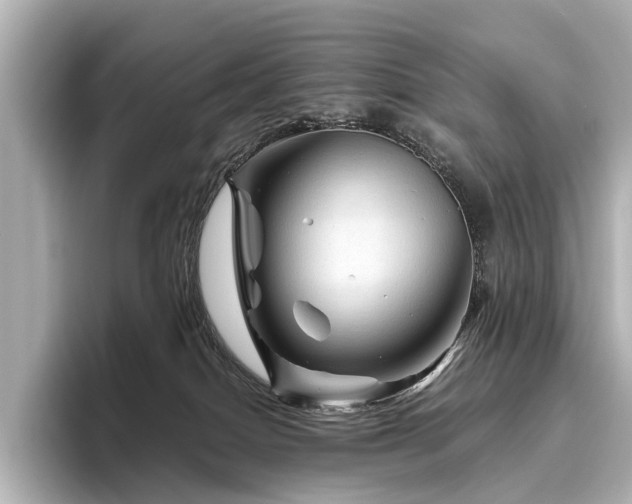 X0000096440086200801241407