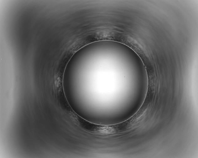 X0000096440087200801241407