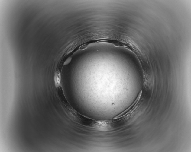 X0000096440095200801241407