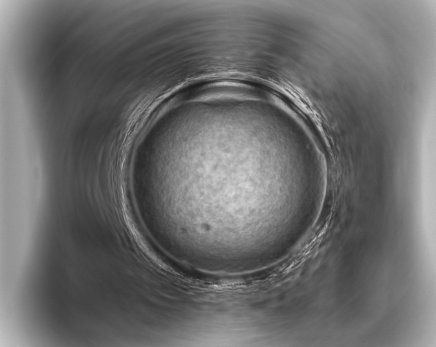X0000096440097200801241406