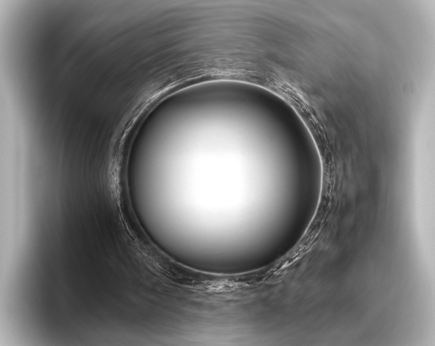 X0000096440098200801241406