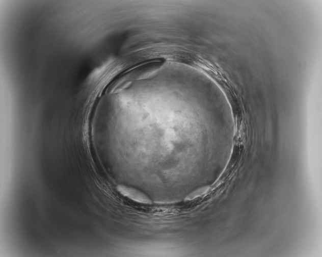 X0000096440099200801241406
