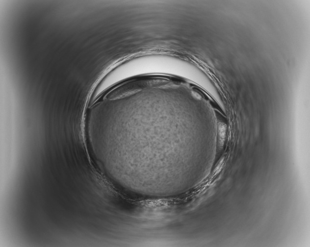 X0000096440100200801241406