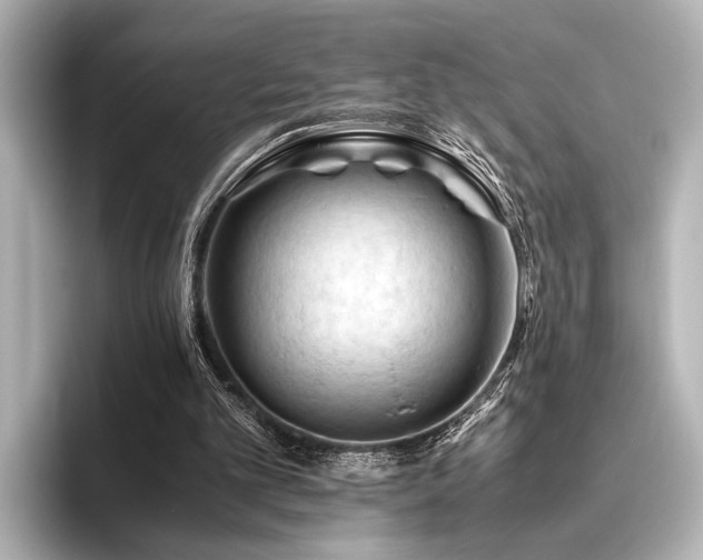 X0000096440101200801241406