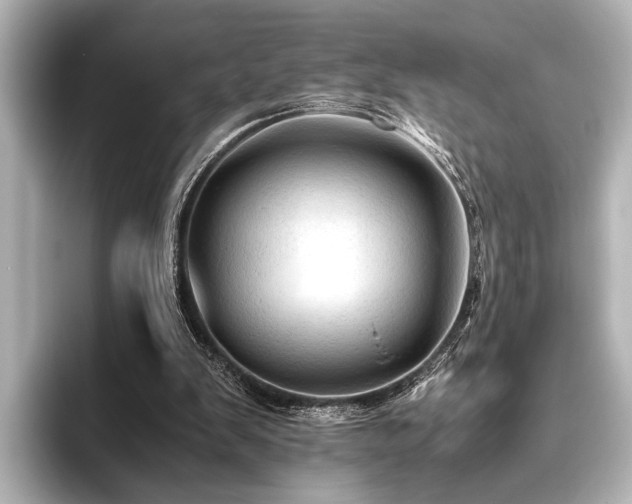 X0000096440103200801241406