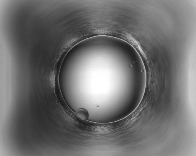 X0000096440106200801241406