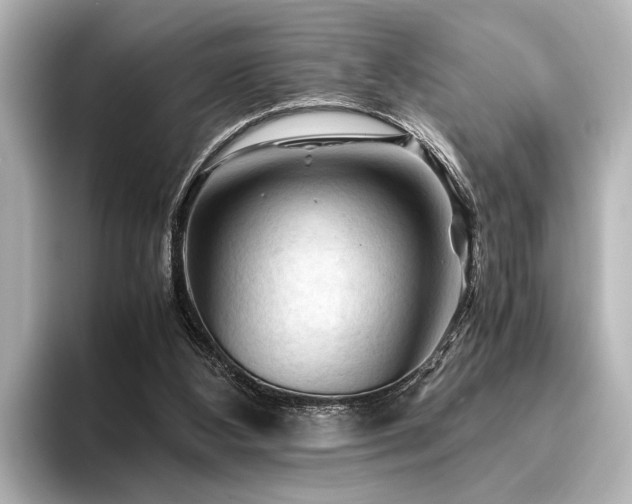 X0000096440108200801241406