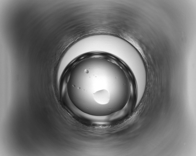 X0000096440109200801241406