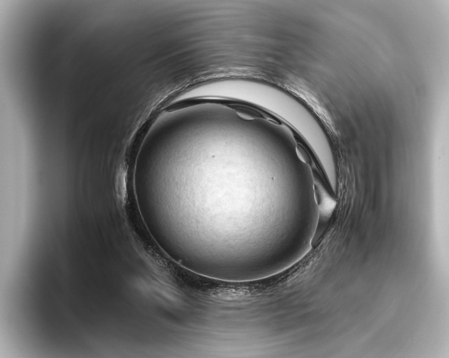 X0000096440110200801241406