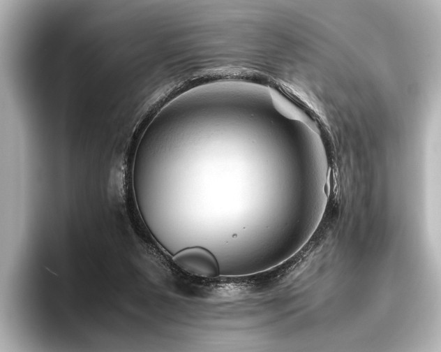 X0000096440111200801241406