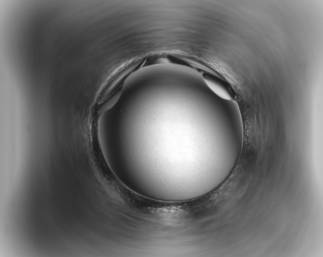 X0000096440112200801241406